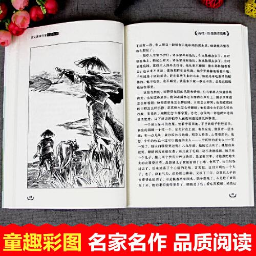 荷花：叶圣陶作品集 中小学生读语文课本作家作品课外阅书文学经典