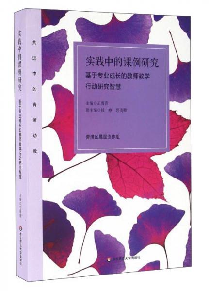 實(shí)踐中的課例研究基于專業(yè)成長的教師教學(xué)行動研究智慧