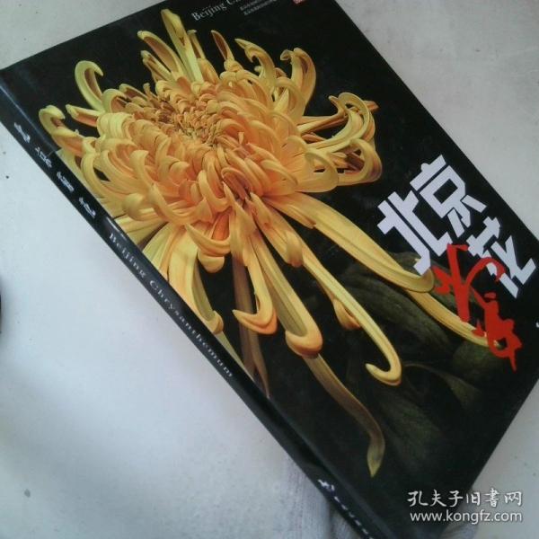 北京菊花
