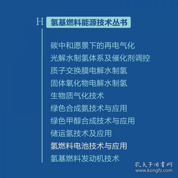 氢燃料电池技术与应用