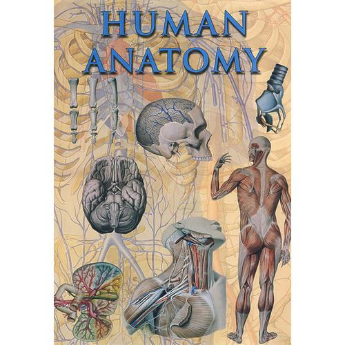 人体解剖学Human Anatomy