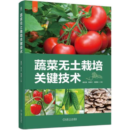 蔬菜無(wú)土栽培關(guān)鍵技術(shù)
