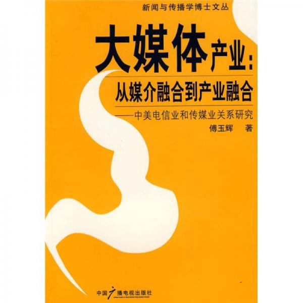 大媒体产业：从媒介融合到产业融合-中美电信业和传媒业关系研究