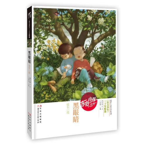 黑眼晴（成長(zhǎng)小說(shuō)）