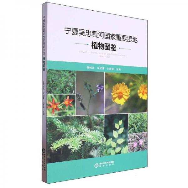寧夏吳忠黃河重要濕地植物圖鑒 生物科學(xué) 秦樹高 鄧宏兼 劉海榮 主編 新華正版
