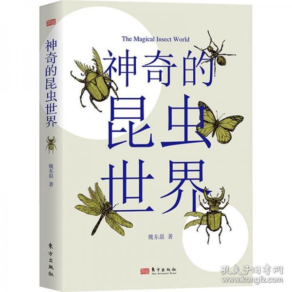 神奇的昆蟲世界