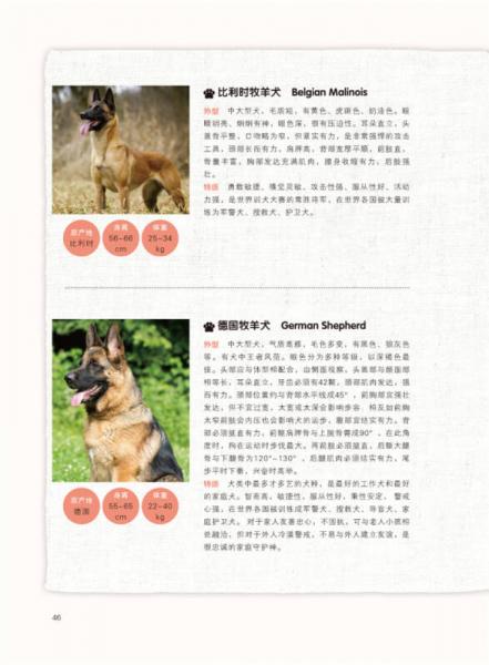 没有教不会的狗狗