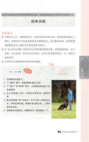 没有教不会的狗狗