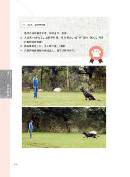 没有教不会的狗狗