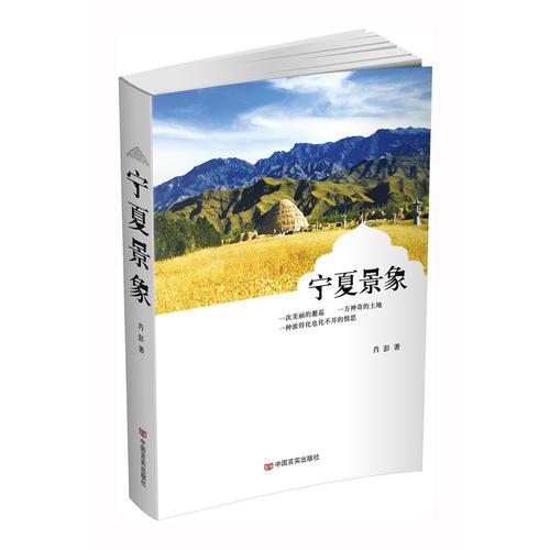寧夏景象