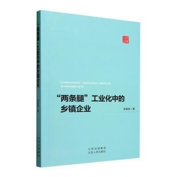 兩條腿工業(yè)化中的鄉(xiāng)鎮(zhèn)企業(yè)