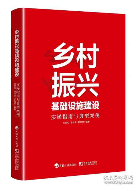 乡村振兴基础设施建设实操指南与典型案例