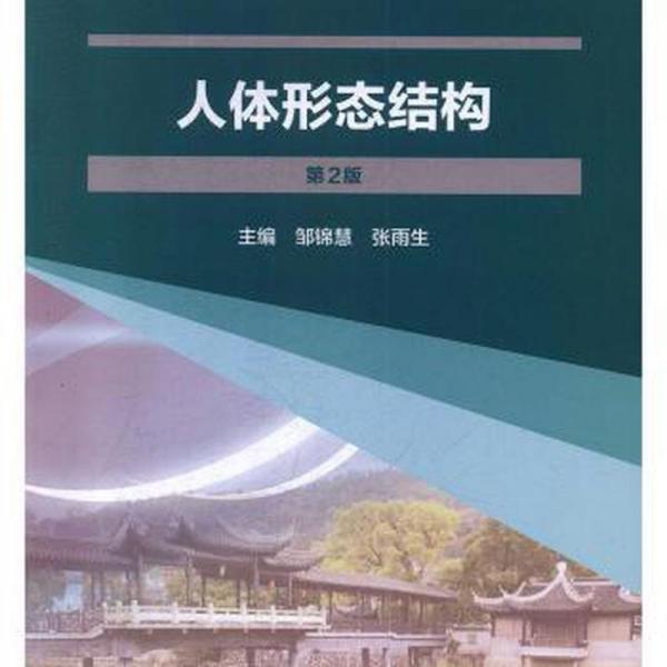 人體形態(tài)結(jié)構(gòu)