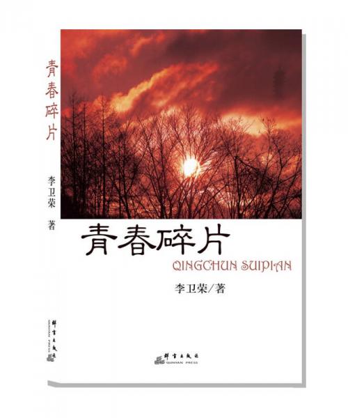 青春碎片