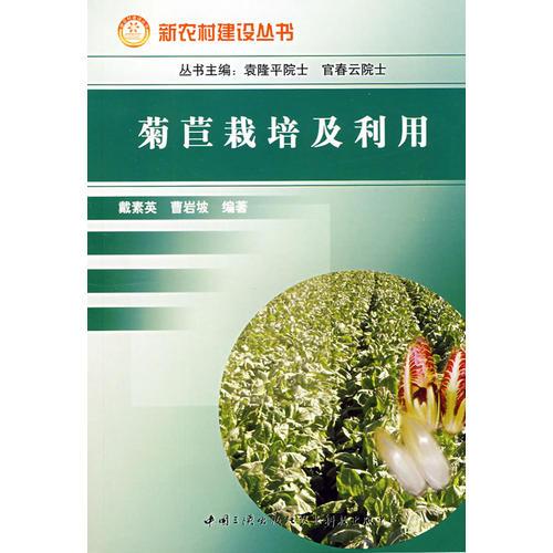 菊苣栽培及利用
