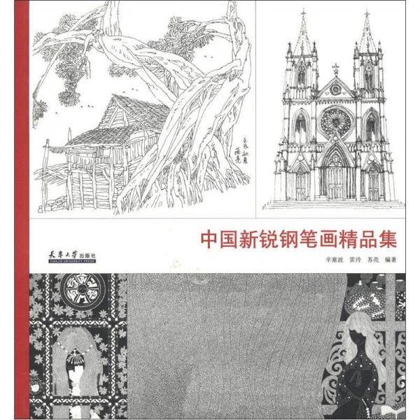 中國新銳鋼筆畫精品集