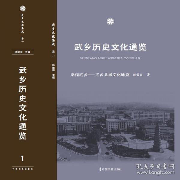 武乡历史文化通览(套书)