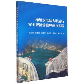 梯級水電站大壩運(yùn)行安全智能管控理論與實(shí)踐