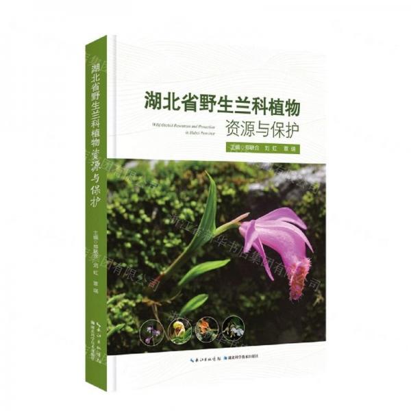 湖北省野生兰科植物资源与保护(精)