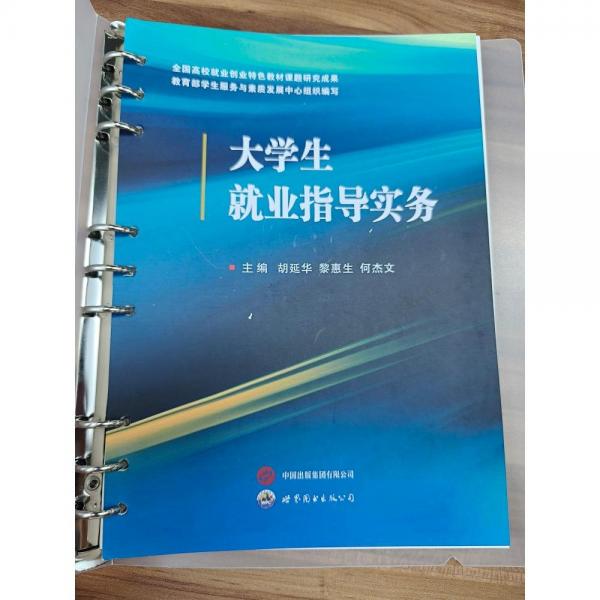 大學(xué)生就業(yè)指導(dǎo)實(shí)務(wù) 胡延華，黎惠生，何杰文主編