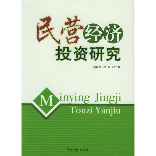 民營(yíng)經(jīng)濟(jì)投資研究