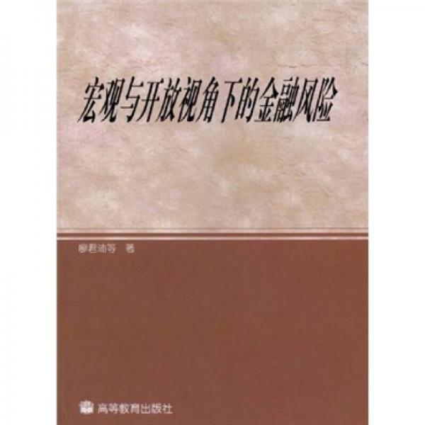 宏觀與開放視角下的金融風(fēng)險