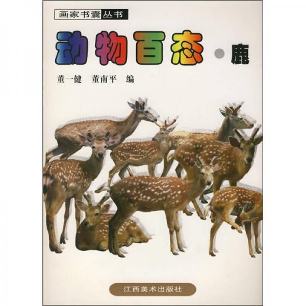 動(dòng)物百態(tài)·鹿