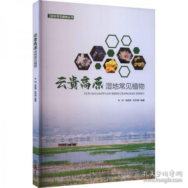 云贵高原湿地常见植物
