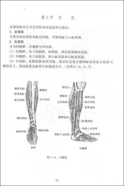 國(guó)家職業(yè)技能培訓(xùn)教材：足療學(xué)（供足部按摩師反射療法師專(zhuān)業(yè)用）