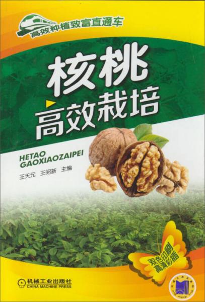 核桃高效栽培