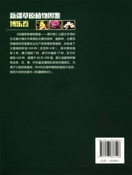 新疆草原植物图鉴