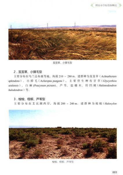 新疆草原植物图鉴