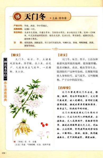 《神农本草经》养生速查图典