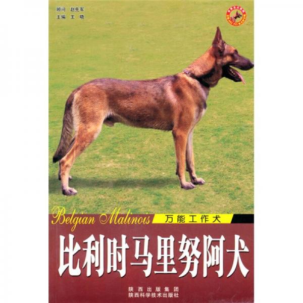 比利时马里努阿犬（万能工作犬）