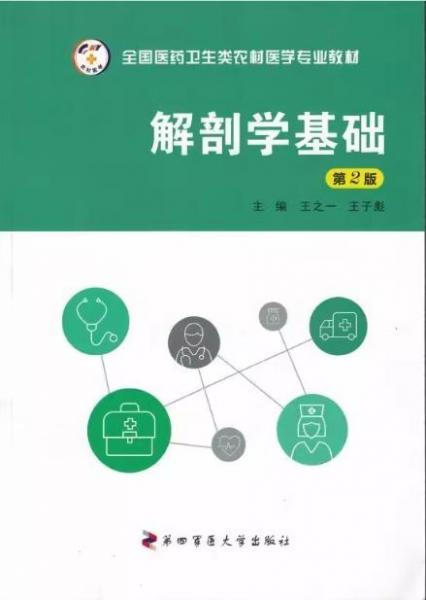 解剖學基礎