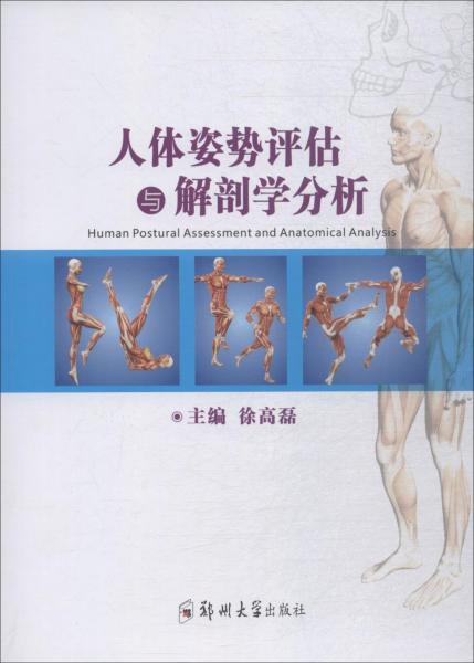 人体姿势评估与解剖学分析 