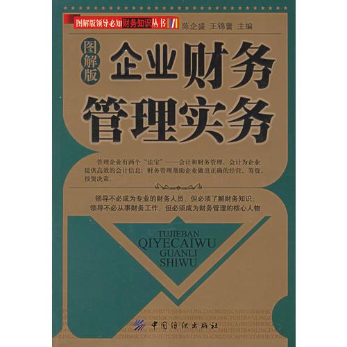 企業(yè)財(cái)務(wù)管理實(shí)務(wù)（圖解版）