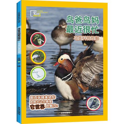 它世界系列叢書：鳥爸鳥媽最近很忙（鳥類科普故事）