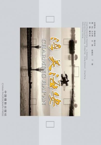 淳美海安