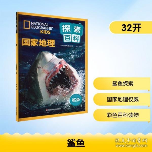 鲨鱼
