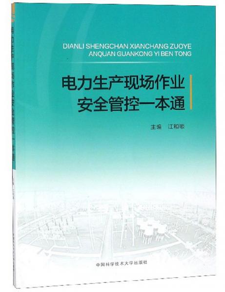 電力生產現場作業(yè)安全管控一本通