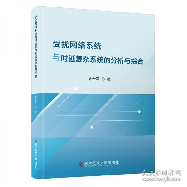 受扰网络系统与时延复杂系统的分析与综合