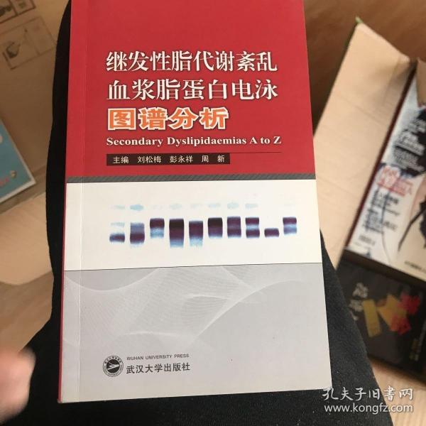 繼發(fā)性脂代謝紊亂血漿脂蛋白電泳圖譜分析