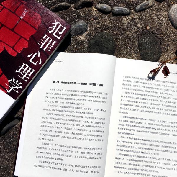 犯罪心理学：犯罪心理画像实录