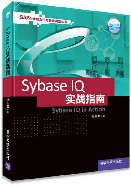 SAP企业信息化与最佳实践丛书：Sybase IQ 实战指南