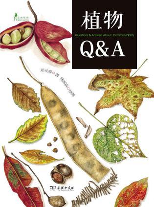 植物Q&A(自然观察丛书)