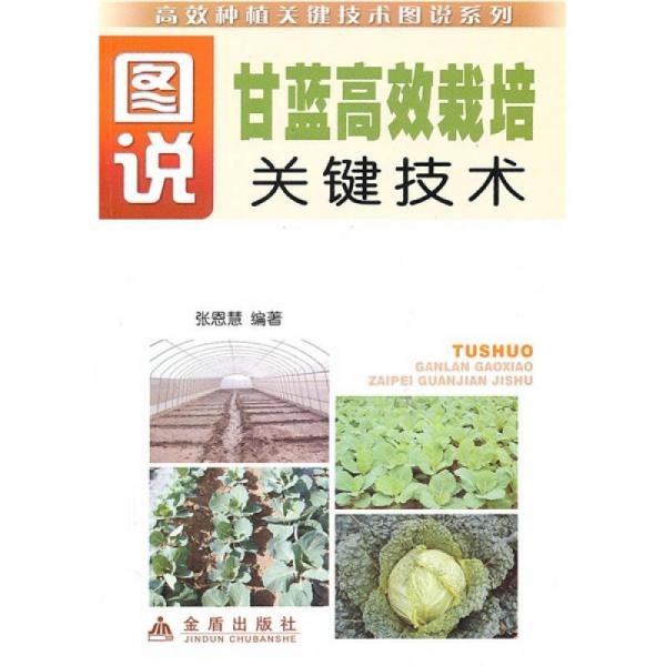 圖說甘藍高效栽培關鍵技術