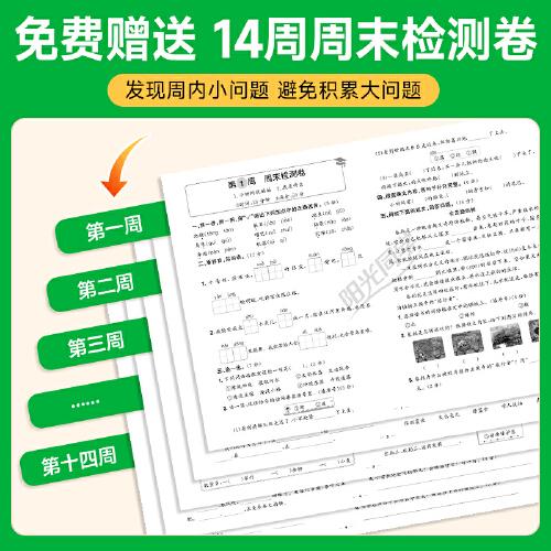 2025秋陽(yáng)光同學(xué)提優(yōu)新卷二年級(jí)語(yǔ)文人教版上冊(cè)試卷測(cè)試卷小學(xué)2年級(jí)單元期中末試卷練習(xí)冊(cè)題