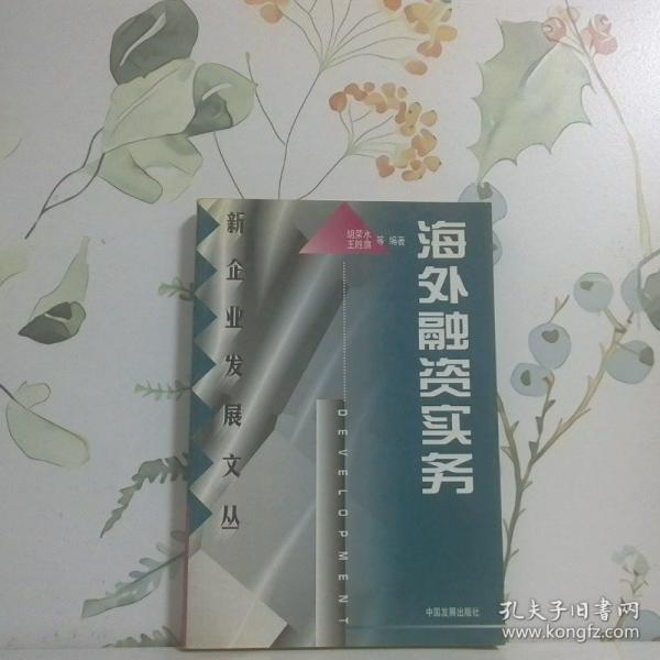 海外融資實(shí)務(wù)