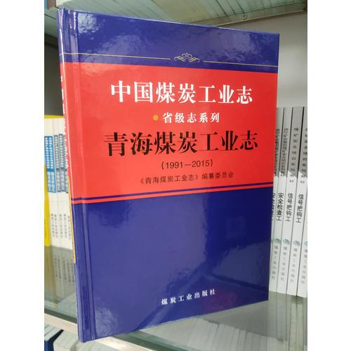 中国煤炭工业志 青海煤炭工业志（1991-2015）